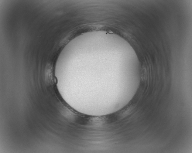 X0000054390238200508270042