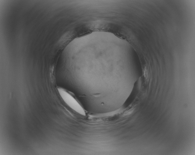 X0000054390239200508270042