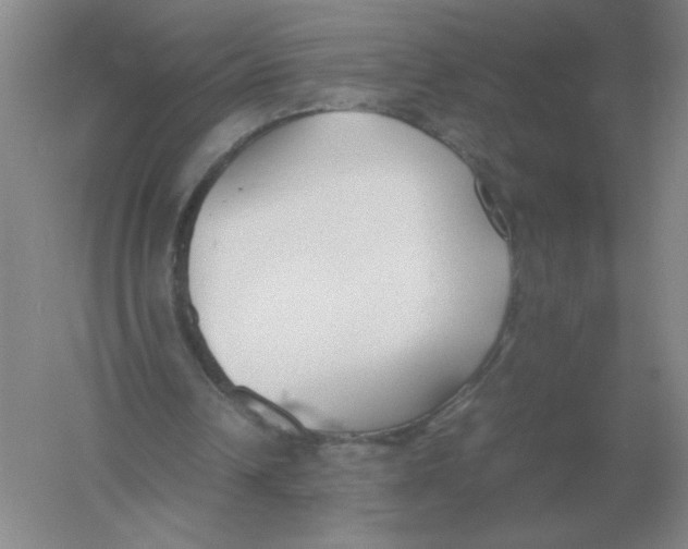 X0000054390242200508270041