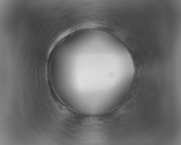 X0000054390244200508270041