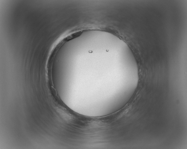 X0000054390246200508270041