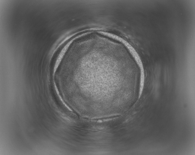 X0000054390247200508270041