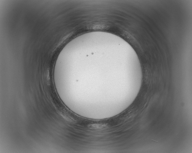 X0000054390251200508270041