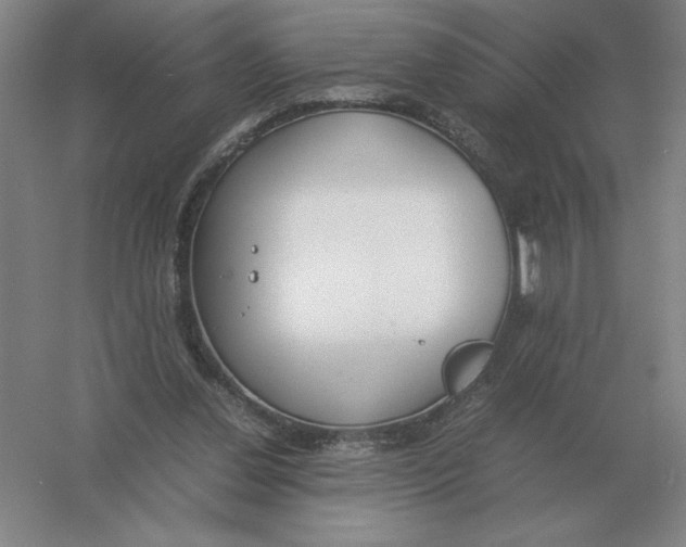 X0000054390252200508270041