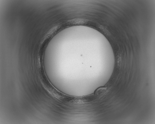 X0000054390254200508270041