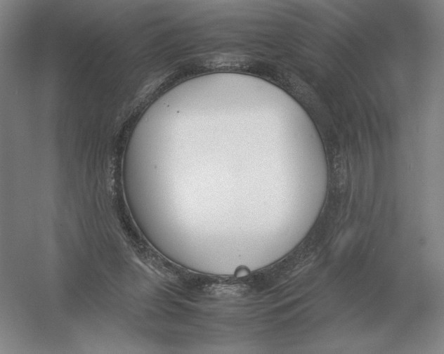 X0000054390255200508270041