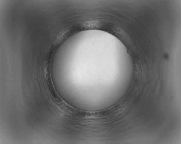 X0000054390259200508270041