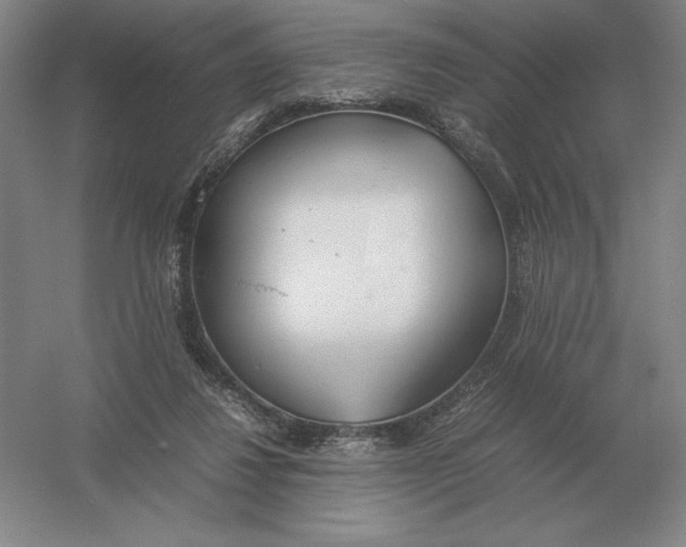 X0000054390260200508270041