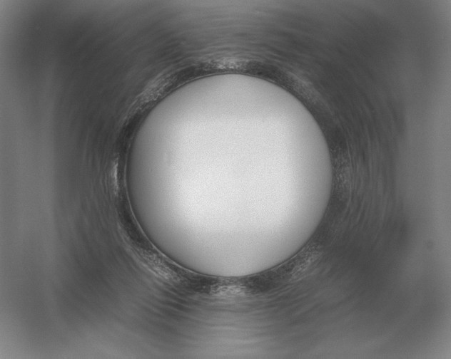 X0000054390262200508270042