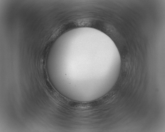 X0000054390263200508270042