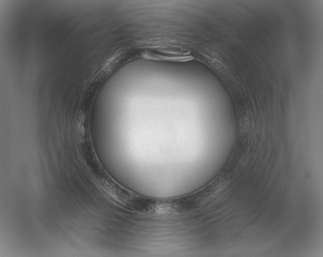 X0000054390264200508270042
