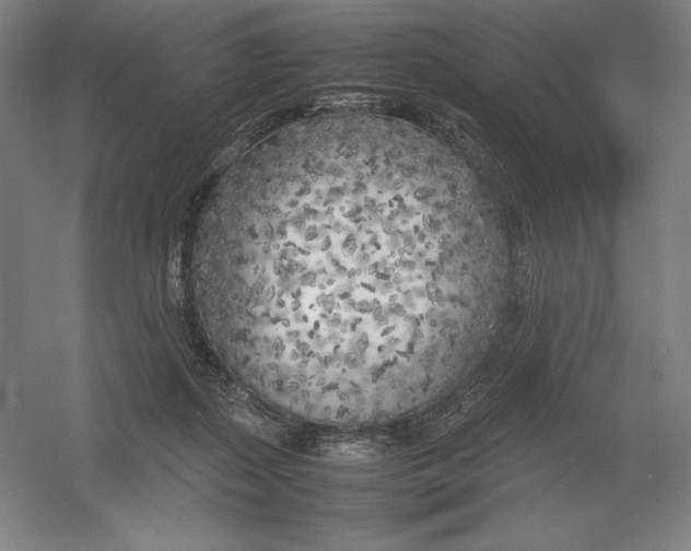 X0000054390267200508270042