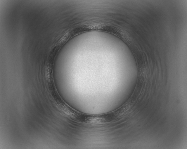 X0000054390268200508270042