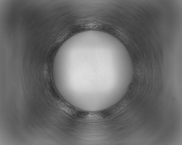 X0000054390270200508270042