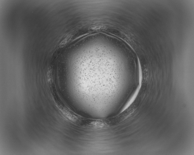 X0000054390272200508270042