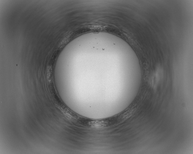 X0000054390273200508270042