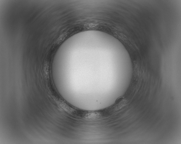 X0000054390274200508270042