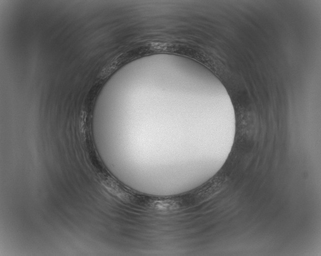 X0000054390275200508270042