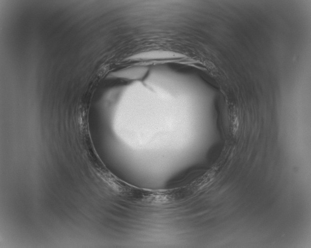 X0000054390276200508270042