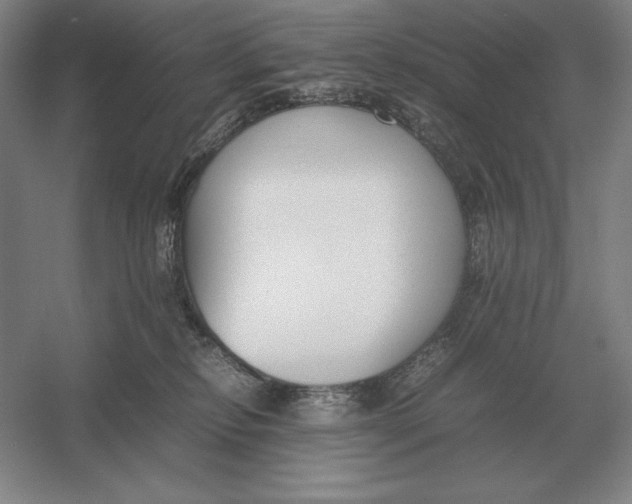 X0000054390278200508270042
