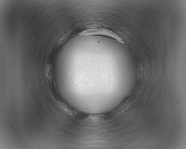 X0000054390280200508270042