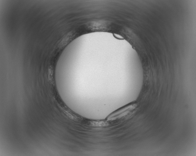 X0000054390281200508270042