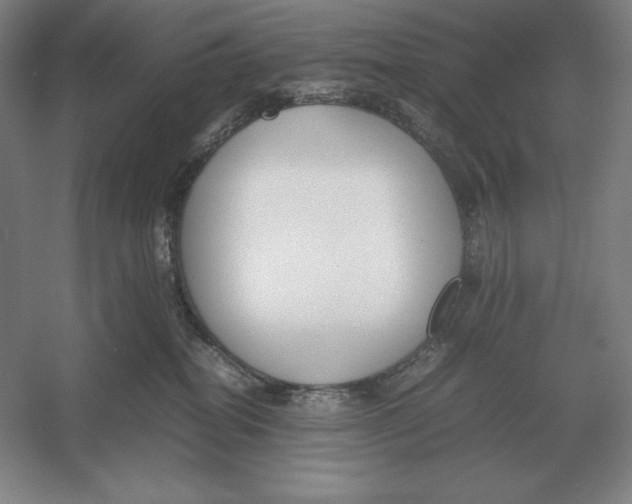 X0000054390282200508270042
