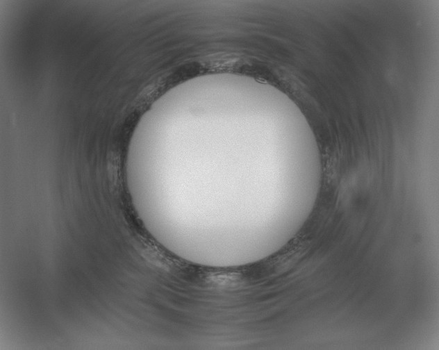 X0000054390283200508270042