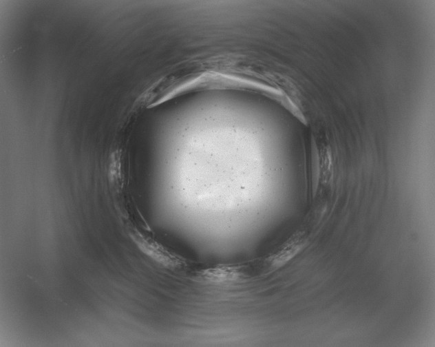 X0000054390284200508270042