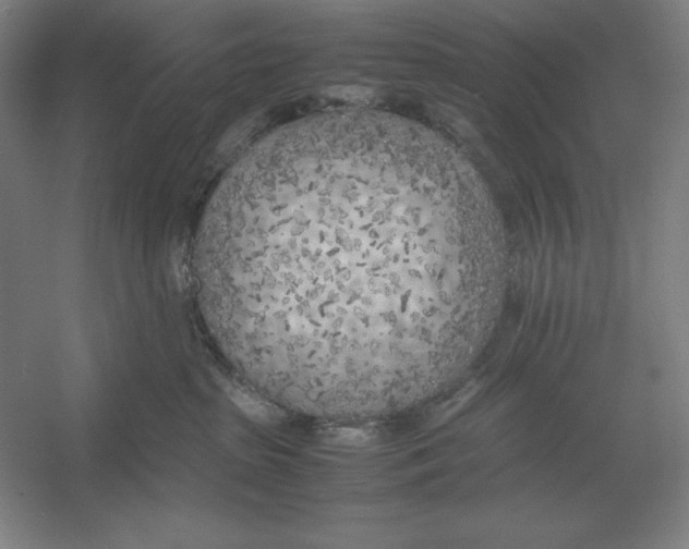 X0000054390285200508270042