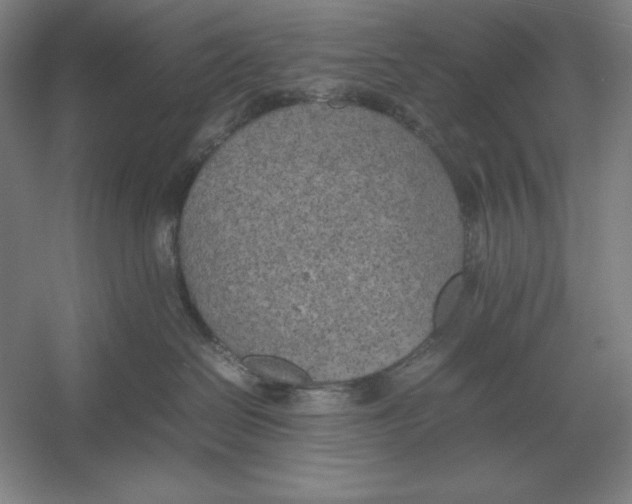 X0000054390286200508270042