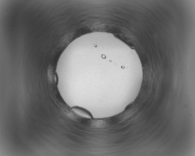 X0000054390287200508270042