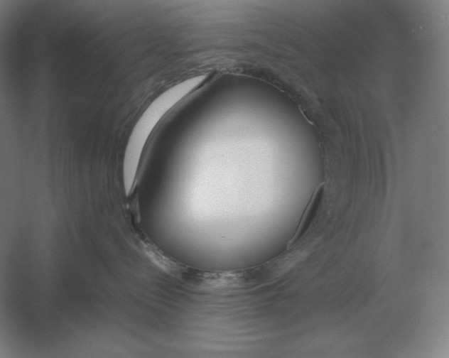 X0000054390288200508270042