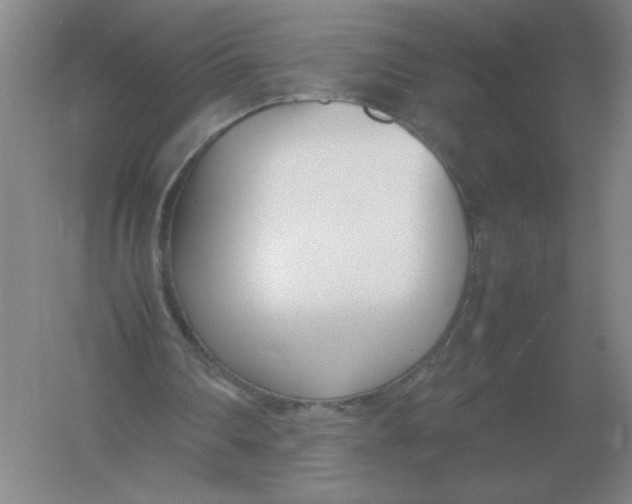 X0000054390290200508270041