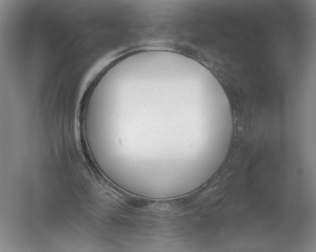 X0000054390294200508270041