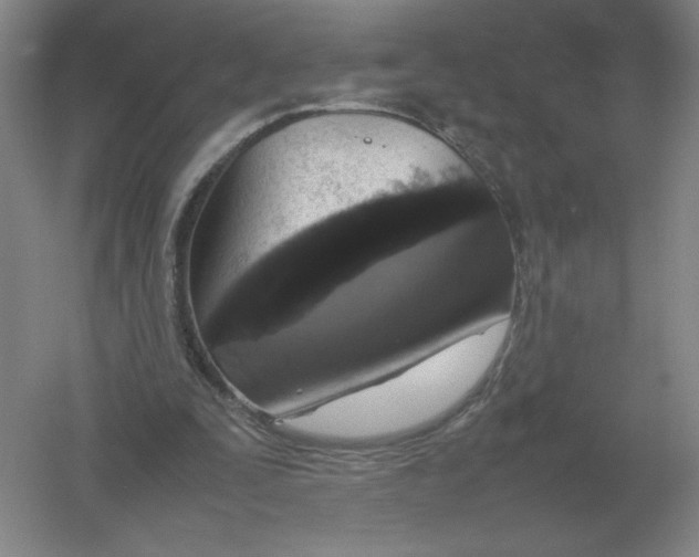 X0000054390295200508270041