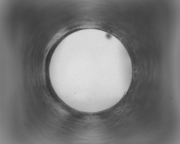 X0000054390296200508270041