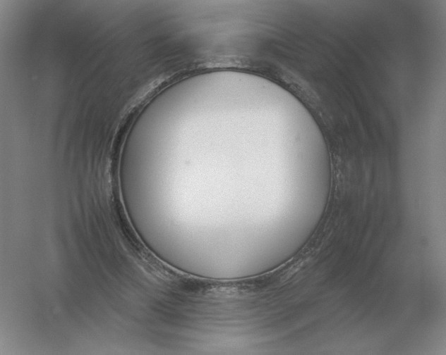 X0000054390298200508270041