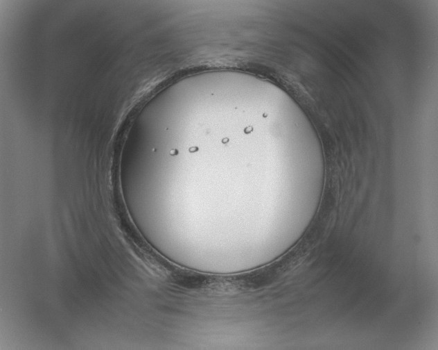 X0000054390299200508270041