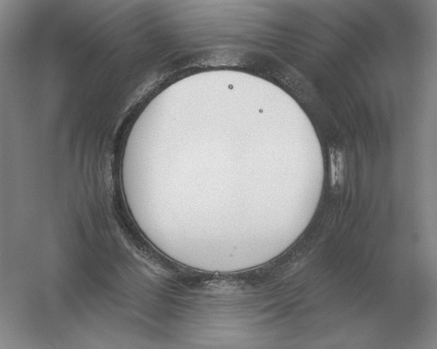 X0000054390300200508270041
