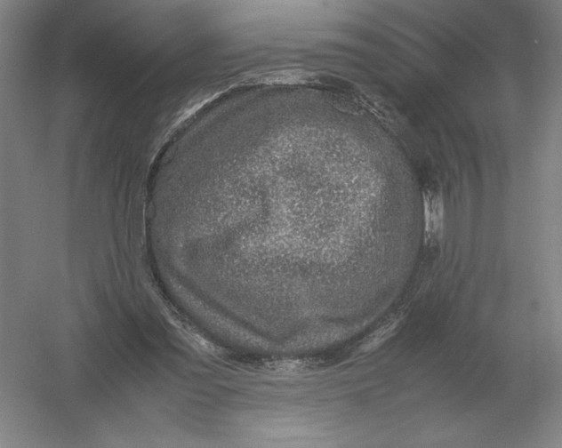 X0000054390301200508270041