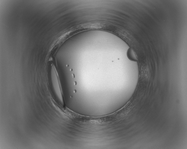 X0000054390302200508270041
