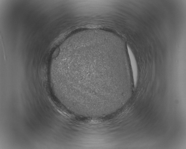 X0000054390303200508270041