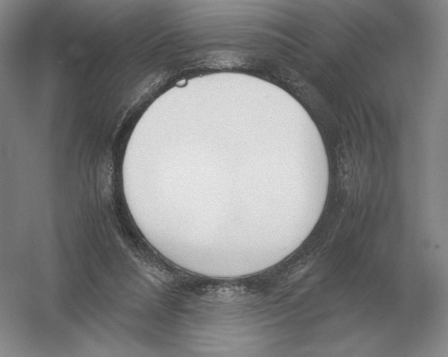 X0000054390304200508270041