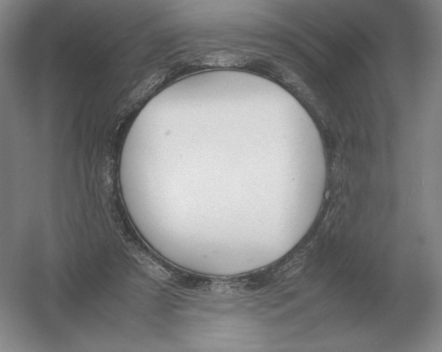 X0000054390305200508270041