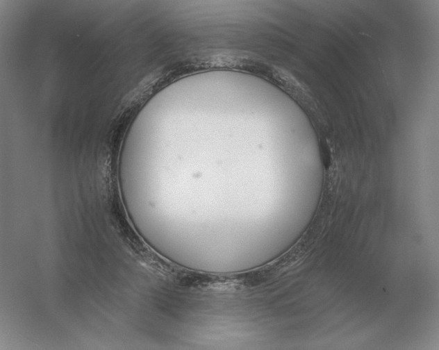 X0000054390306200508270041