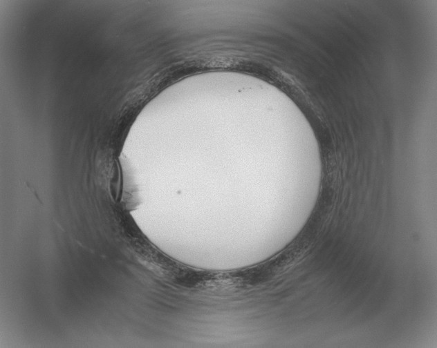 X0000054390307200508270041