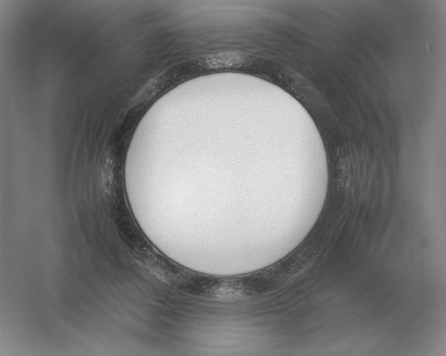 X0000054390308200508270041