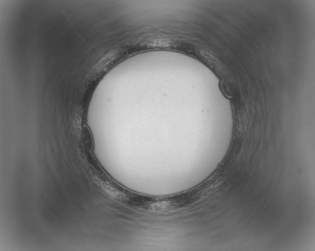X0000054390309200508270041