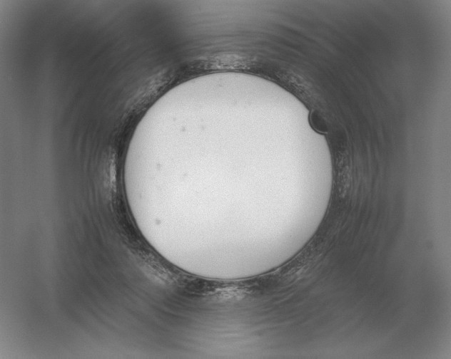 X0000054390310200508270041